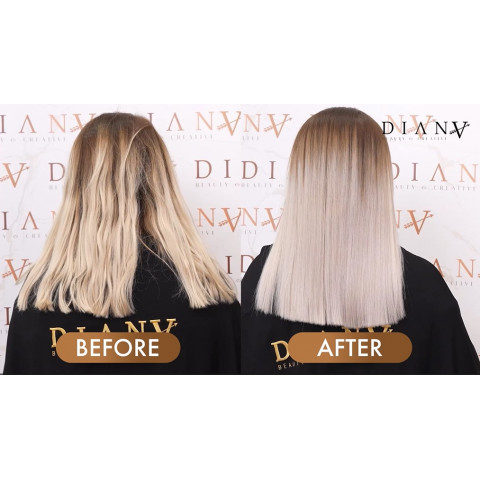 FRIZZ FIX ONLINE TRAINING